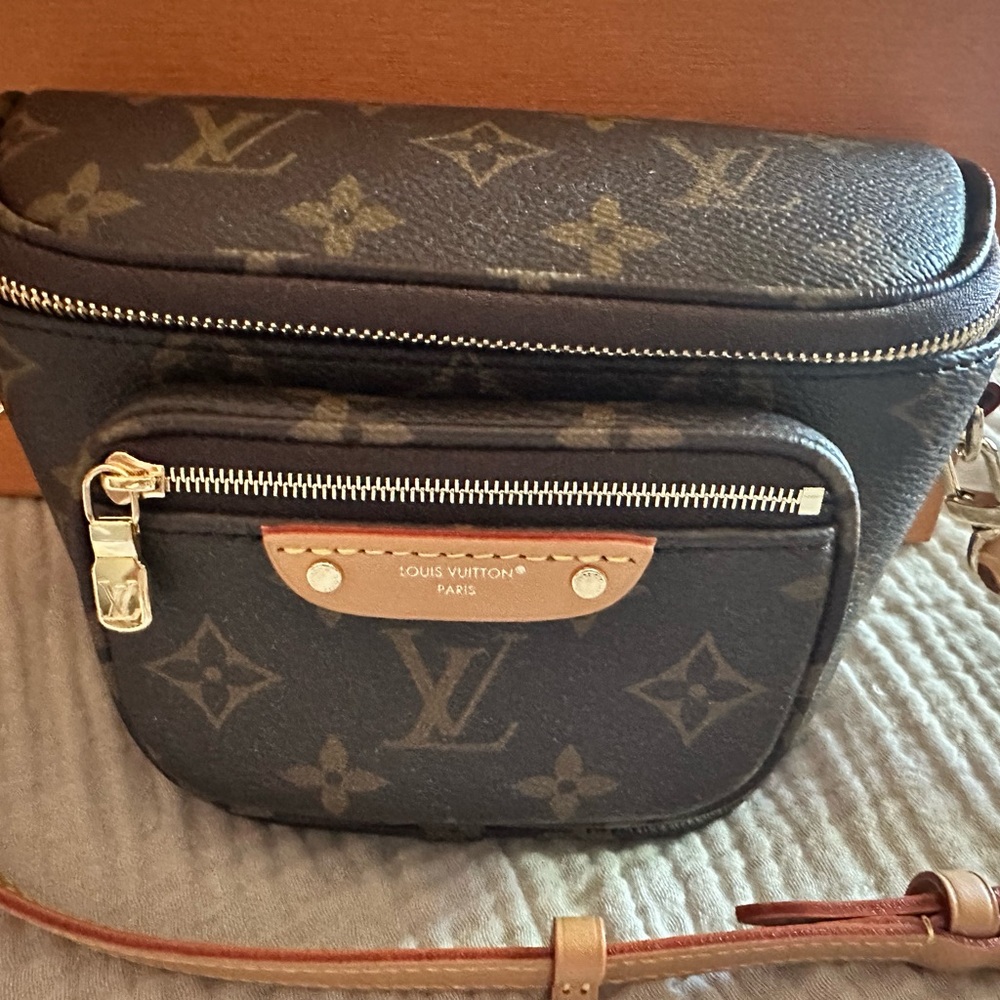 Louis Vuitton Mini Bum Bag LV in Monogram - Picture 12 of 16